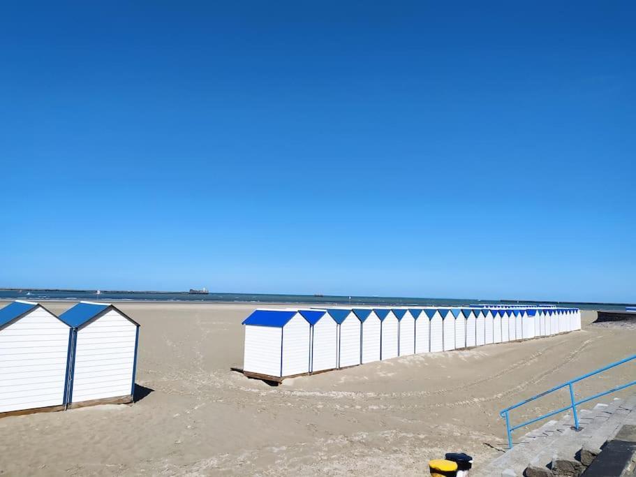 Face Nausicaa Et Plage Vue Panoramique Булон сюр Мер Екстериор снимка